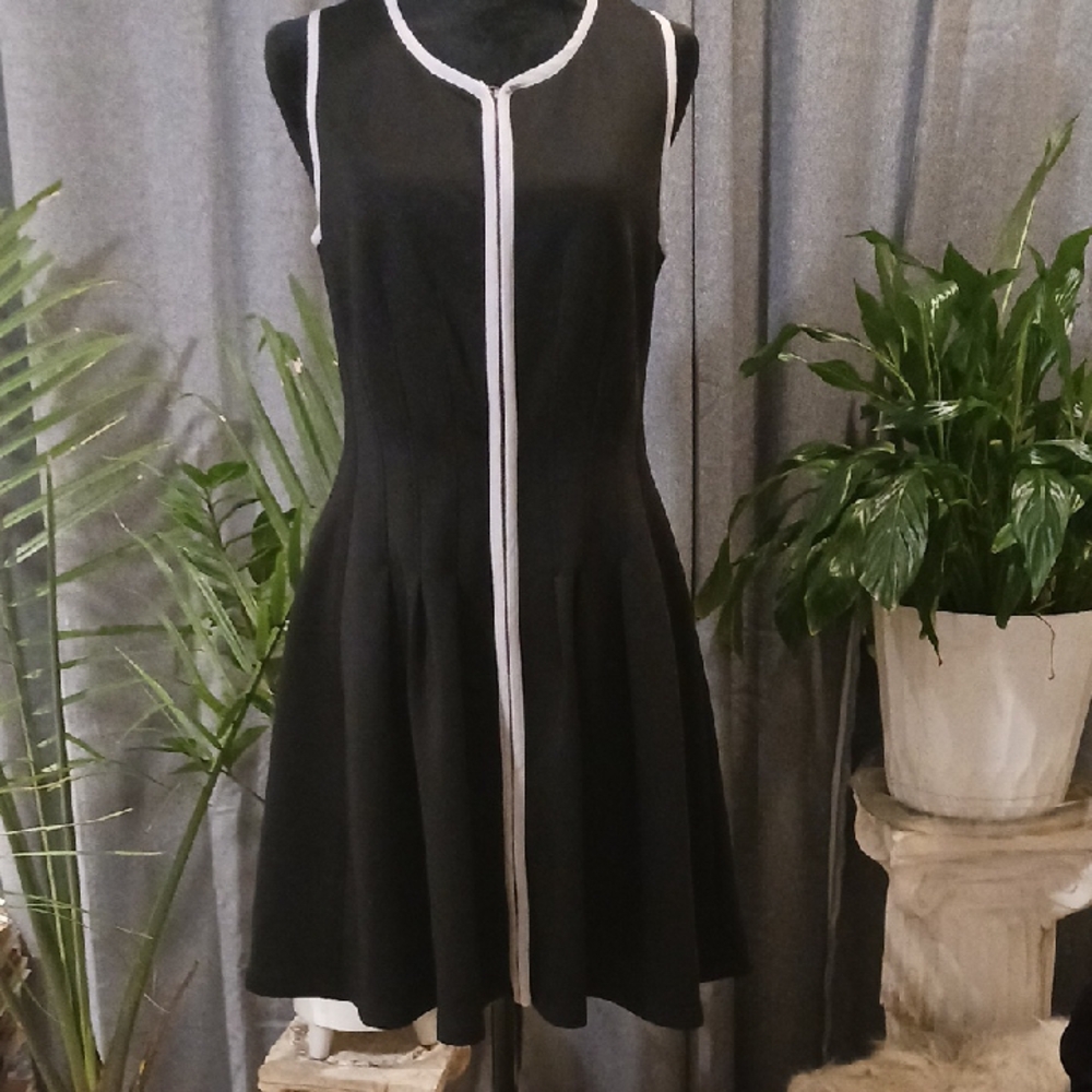 Elegant Black Dress with White-grey Trim